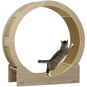Roue 36" pour chats d’intérieur avec frein, plaquettes à griffer.