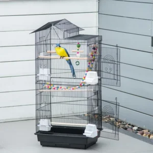 Cage à oiseaux de 39" pour perruche, calopsitte, conure, petits oiseaux, avec échelle, balançoire, jouets, perchoirs, plateau, bols à nourrir, et poignée