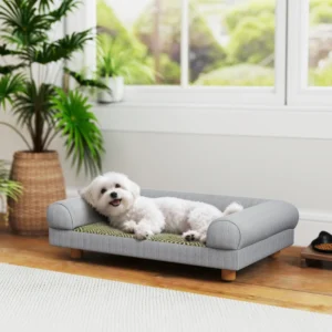Canapé pour chien et chat surélevé avec pieds solides pour chatons d’intérieur.