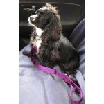 Courroie ajustable avec poignée pour l'auto / Adjustable 1'' car strap with handle