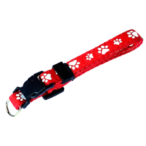 Collier 3/8'' à motifs Pattes            3/8'' Collar with Paw Patterns