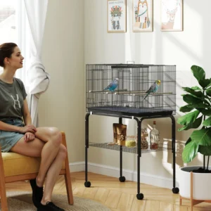 Cage à oiseaux pour perruches tourtereaux, canaris, pinsons avec séparateur.