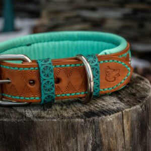 Collier de rivière sauvage  /  Wild river collar