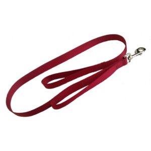 Laisse 2 poignées 1'' X 48''    / Leash 2 handles 1'' X 48''