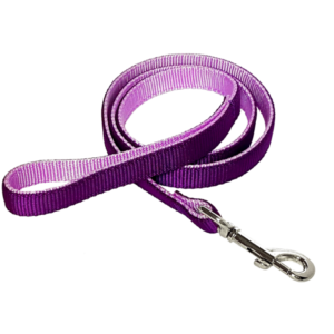 Laisse double épaisseur de nylon 1'' X 48'' / Double Layer Nylon Leash 1'' X 48''