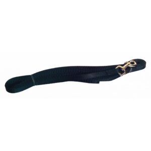 Laisse de rappel 3/8''    /   Booster Leash 3/8'' X 15'