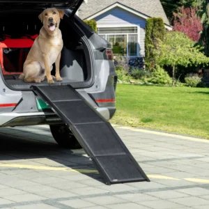 Rampe pliante pour animaux, portable légère de 62 pouces pour chiens extra grands, surface antidérapante pour voitures, camions et SUV.