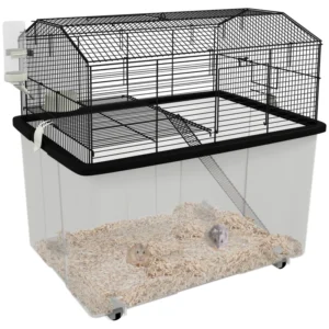Habitat de hamsters nain à roues, fond détachable.