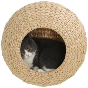 Étagère murale avec coussin lavable, meubles de condo pour chats d’intérieur fixés au mur.