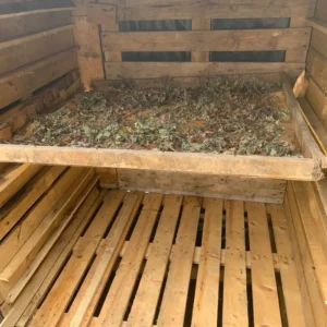 Catnip - Divertissement et détente 100% naturels pour votre chat