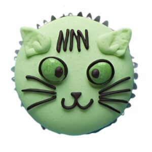 Mini gâteau pour chat  Citrouille et spiruline  /  Pumpkin & Spirulina Mini Cat Cakes