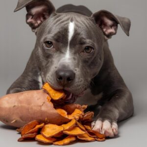 Croustilles de patate douce  /  Sweet Potato Chips