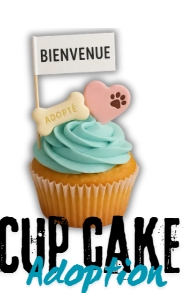 Cupcake “Bienvenue à la maison" / "Welcome Home Cupcake" – Image 3