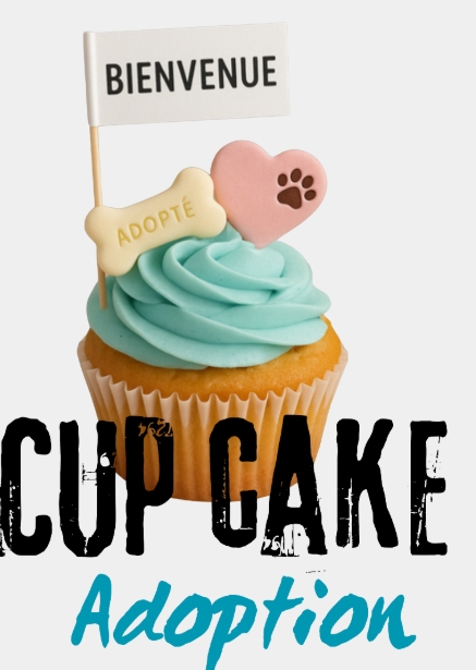 Cupcake Adoption Sans Arachide / Cupcake Adoption – Peanut‑Free – Image 2