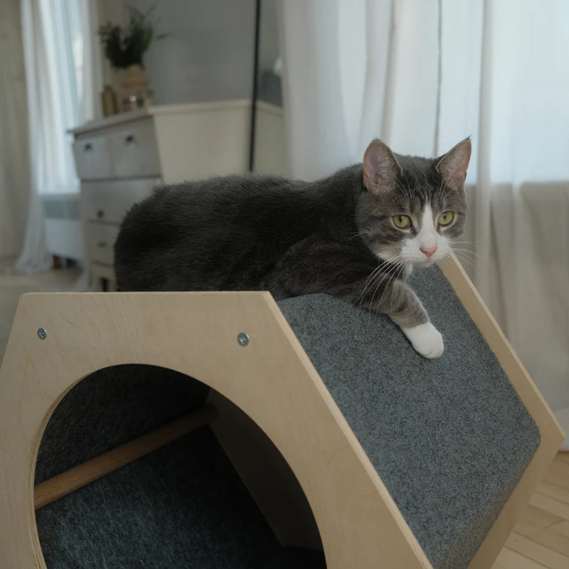 La maison Hexagonale - Refuge pour chat et pour griffage – Image 3
