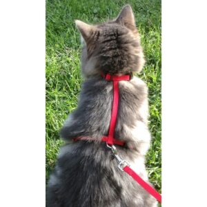 Harnais en ''H'' pour chat et petit chien / Harnais « H » 3/8'' Petit
