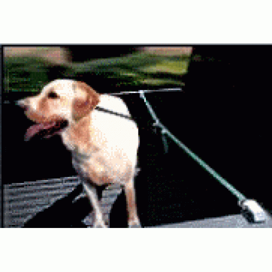 Attache de sécurité pour chien – spéciale camion