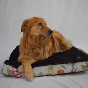 Coussin Orthopédique