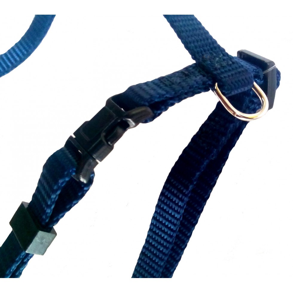 Harnais en ''H'' 3/8'' Grand / 3/8'' 'H'' Harness Large – Image 2