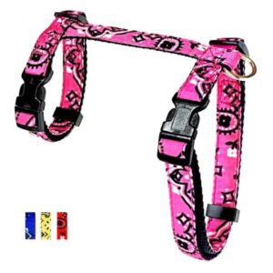 Harnais en ''H'' 5/8'' à motifs Bandana  / 5/8" ''H'' harness with Bandana pattern
