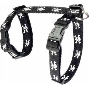 Harnais en ''H'' 5/8'' à motifs Pirate / 5/8" ''H'' harness with Pirate patterns