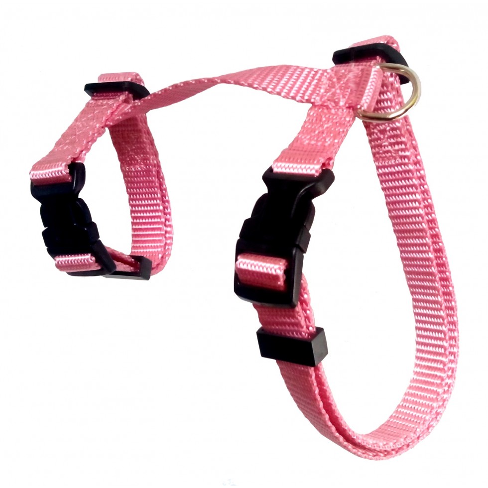 Harnais en ''H'' 5/8'' / 5/8" ''H'' harness – Image 2