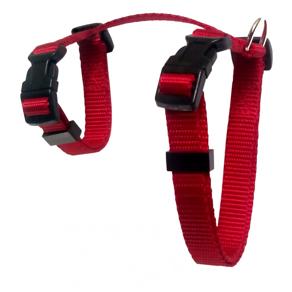 Harnais en ''H'' 5/8'' / 5/8" ''H'' harness – Image 3
