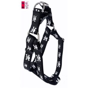 Harnais ''EZ'' 1'' à motifs Pirate  / ''EZ'' 1'' Pirate Pattern Harness