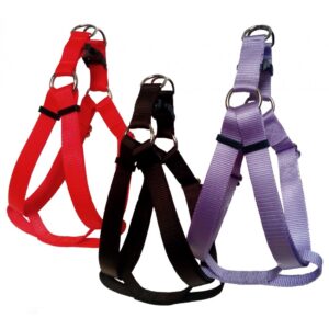 🐾 Le harnais le plus simple et rapide à installer, conçu exclusivement pour chiens.