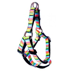 Harnais en ''H'' 5/8'' à motifs Rayé Rétro  /  5/8'' ''H'' Harness with Retro Striped