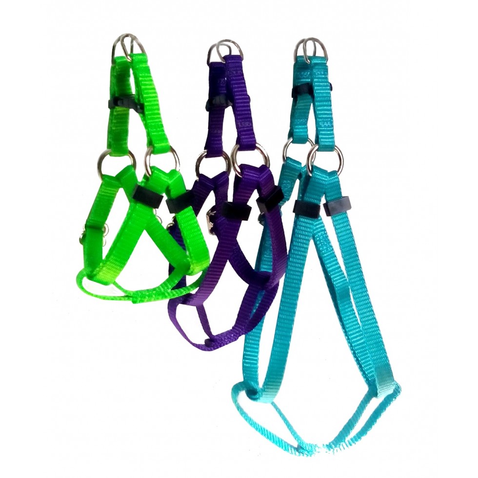 đŸ Le harnais le plus simple et rapide Ă installer, conçu exclusivement pour chiens. â Image 3