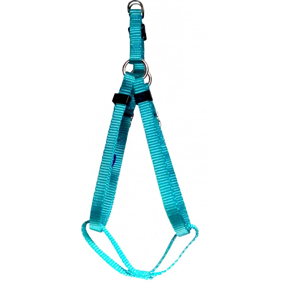 đŸ Le harnais le plus simple et rapide Ă installer, conçu exclusivement pour chiens.
