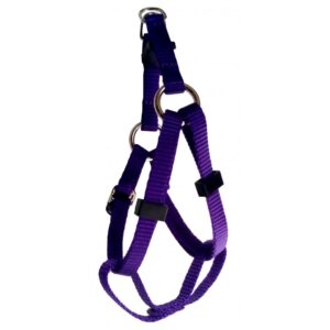 🐾 Le harnais le plus simple et rapide à installer, conçu exclusivement pour les petits chiens.