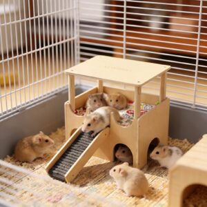 Maison de hamster en bois double épaisseur avec échelle, cachette de cochon d'Inde, décoration de paysage en cage pour petits animaux de compagnie.