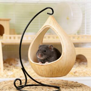Divertissement et habitat pour petits animaux de compagnie comme le hamster