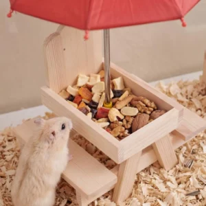Mangeoire en bois pour écureuils et tamias - Table de pique-nique extérieure - Mangeoire de jardin simple