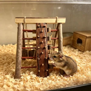 Jouet suspendu en rotin et maïs pour hamster – Accessoire naturel d’enrichissement pour cage.