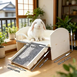 Lagomorphe ( Lapins )
