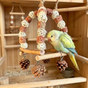 Balançoire pour perroquet, balle en rotin et cage à oiseaux en balles de maïs, décoration de cage à oiseaux suspendue pour perruches, calopsittes, tourtereaux.