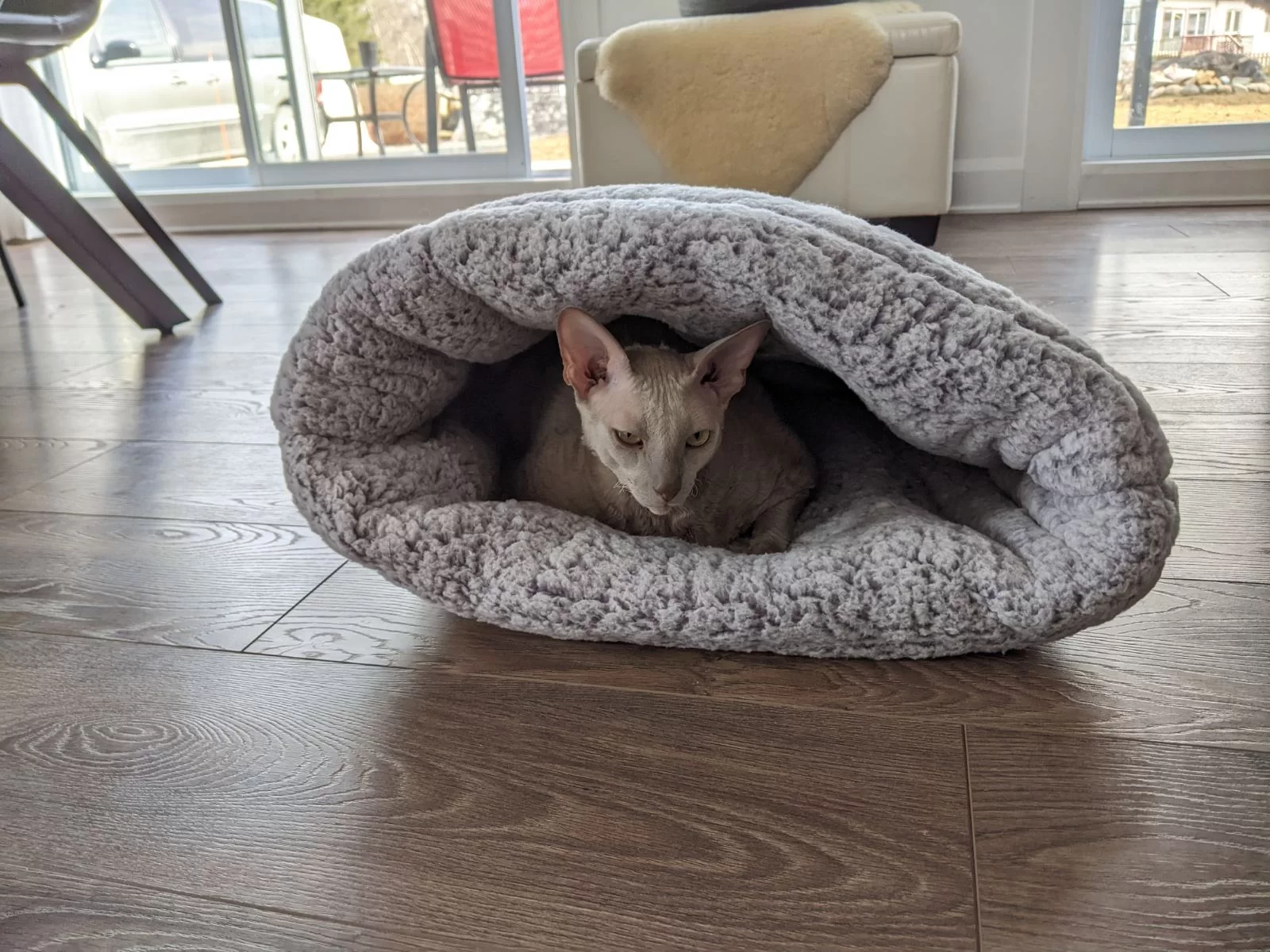 Sac câlin pour chat / Cuddle bag for cats – Image 2