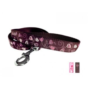 Laisse 1'' à motifs Coeurs / 1'' Leash with Heart Pattern