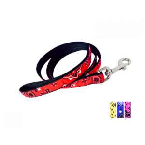 Laisse 3/4'' à motifs Bandana / 3/4'' Bandana Patterned Leash
