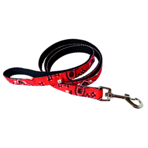 Laisse 5/8'' à motifs Bandana / 5/8'' Patterned Bandana Leash