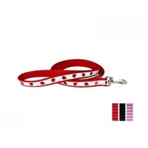 Laisse 5/8'' à motifs Coccinelle / 5/8'' Ladybug Patterned Leash