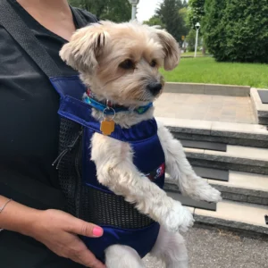 Sac ventral de transport pour chien / Belly Dog Carrier Bag