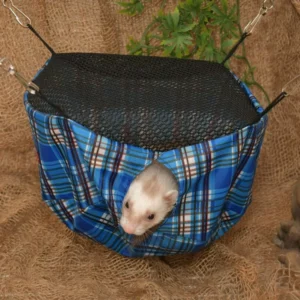 Maison pour Furet      /         House for Ferret