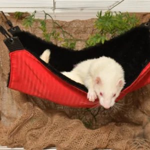 Hamac pour Furet      /      Ferret Hammock