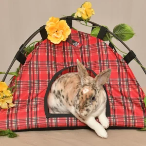 Tentes pour petits animaux - Chat-Lapin / Cat-Rabbit Small Animal Tents