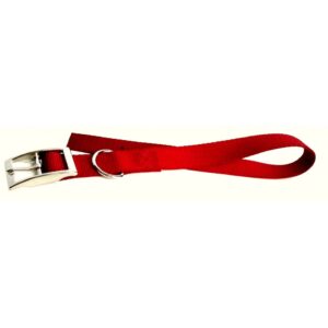 Collier simple avec boucle style ceinture 1'' X 22''