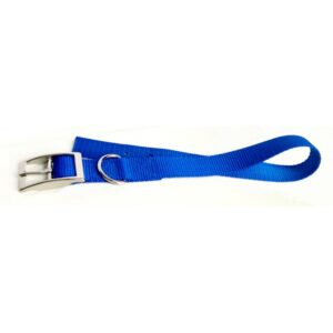 Collier simple avec boucle style ceinture 1'' X 28''